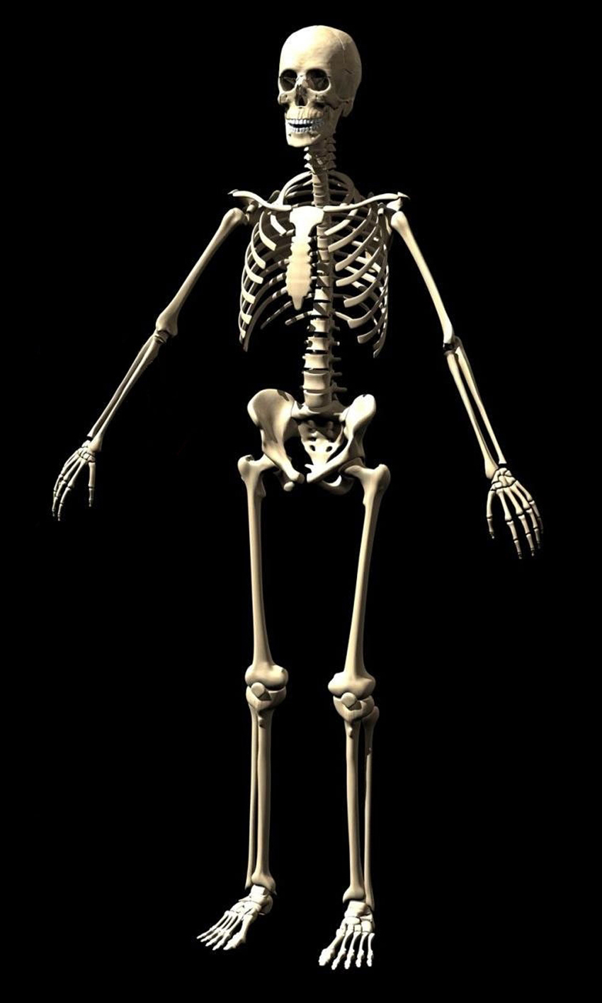 Al parco della Terramara storie di scheletri per Halloween