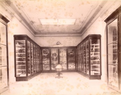 Sezione etnologica del Museo Civico di Modena nel XIX secolo.JPG Sezione etnologica del Museo Civico di Modena nel XIX secolo.JPG