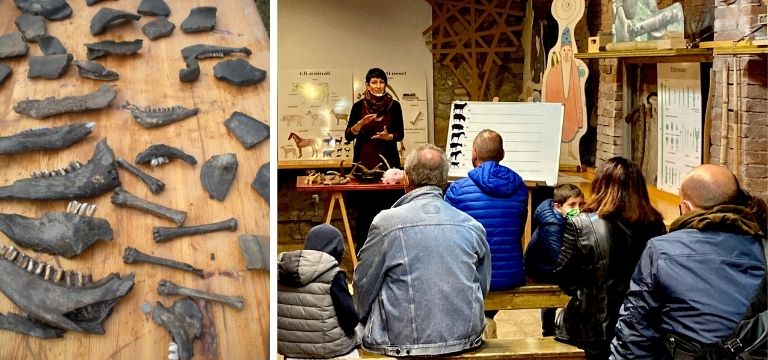Parco della Terramara,  studio delle ossa e quiz