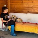 Volontari e operatori con i cani ospiti del canile intercomunale di Modena