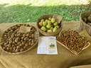 Parco della Terramara, "Frutti (quasi) dimenticati"