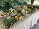 Parco della Terramara, "Frutti (quasi) dimenticati"