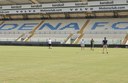 Il completamento dei lavori allo stadio "Alberto Braglia" di Modena
