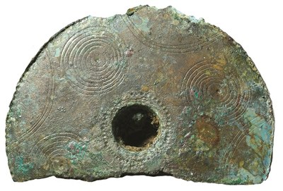 testa di spillone della Terramara di Montale