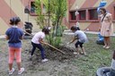 I bambini dell'infanzia Villaggio Giardino piantano il melograno