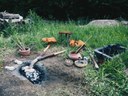 Parco della Terramara, la fusione del bronzo
