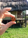 Terramara, Le vie dell'ambra 