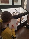 Alla scoperta del Museo Civico, un momento dell'attività