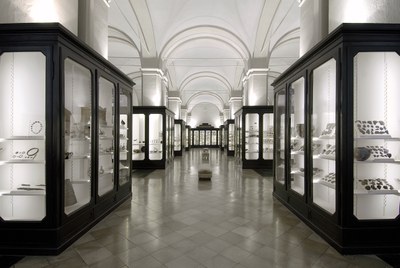 Museo Civico, la rinnovata sala dell'archeologia