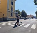 L'intervento della Polizia locale di Modena